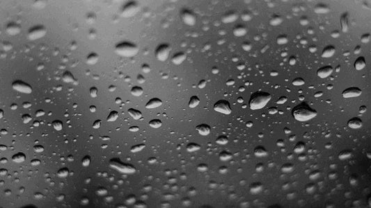 Is iPad Waterproof? The Truth About Apple's Water Resistance