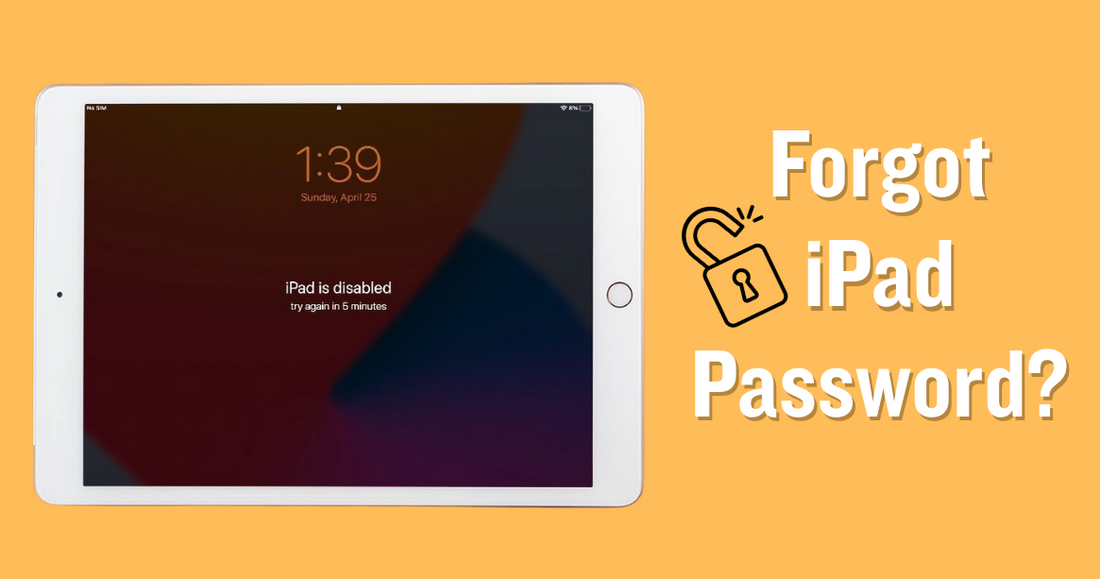 Forgot iPad Password? 4 Ways to Regain Access Fast