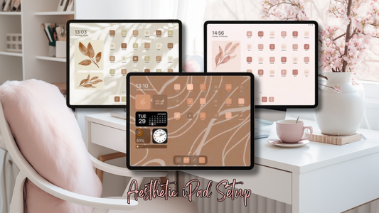 Aesthetic iPad Setup