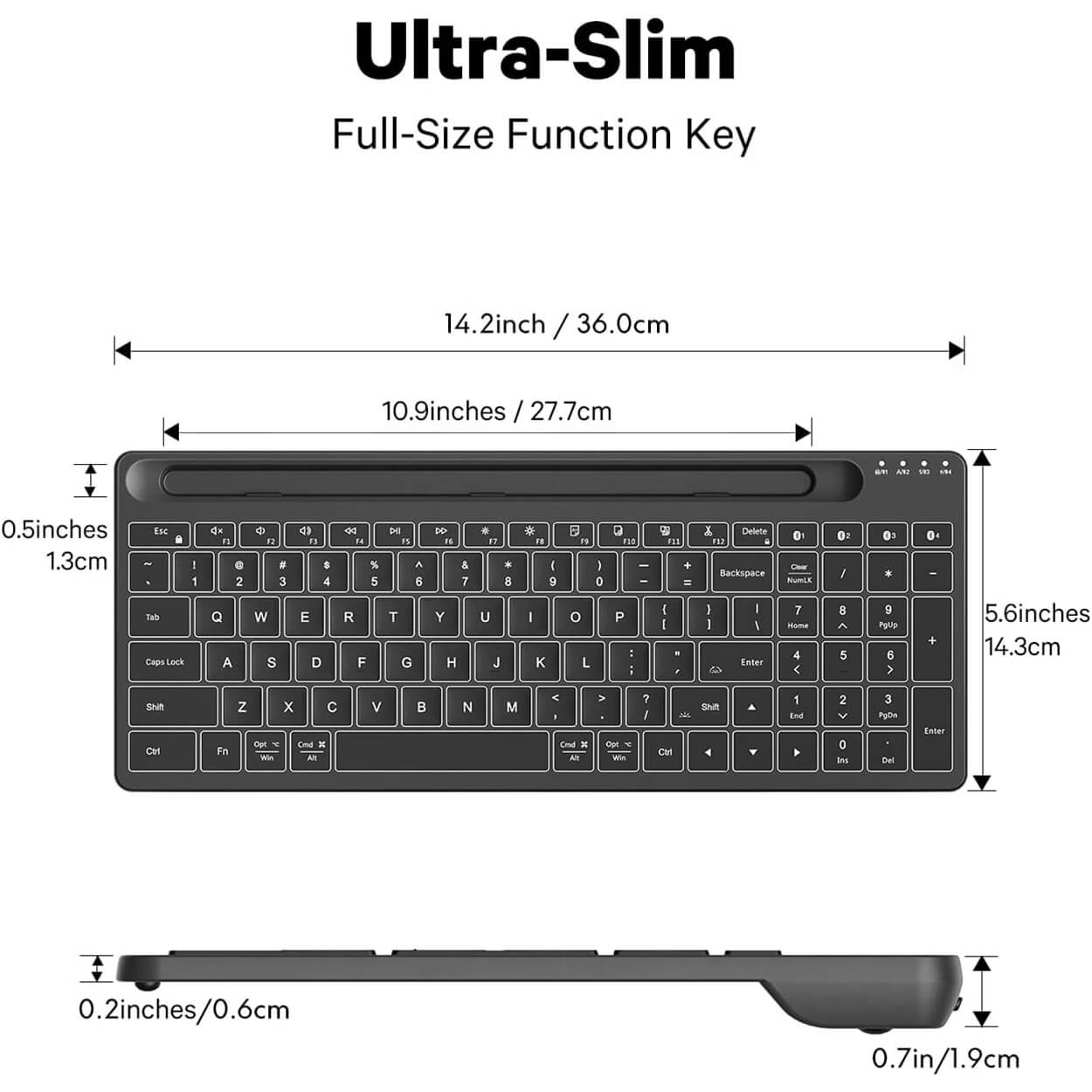 Sizes_of_Chesona_founder1_keyboard